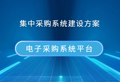 集中采购系统建设方案