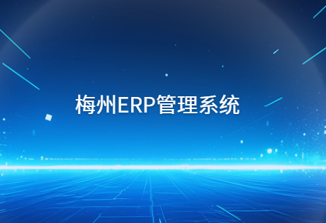 梅州ERP软件开发公司