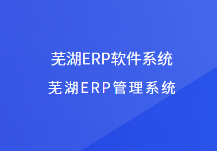 芜湖ERP系统