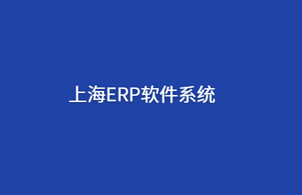 上海ERP软件系统开发
