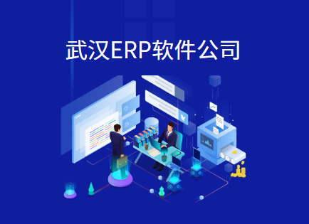 武汉ERP软件定制开发公司