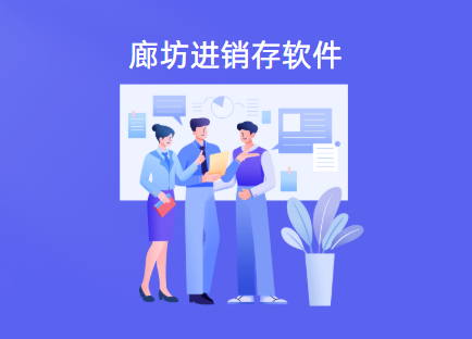 廊坊进销存软件哪个好用