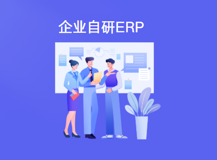企业有必要自研erp系统