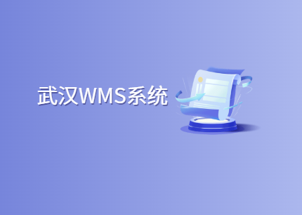 武汉wms系统开发