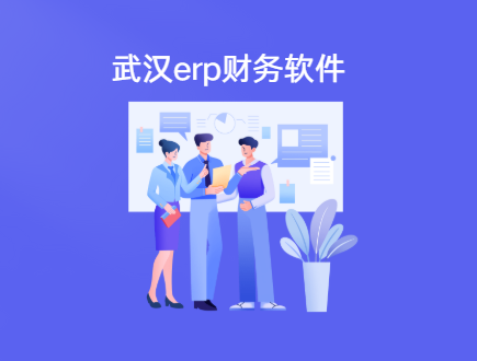 武汉erp财务软件哪个好