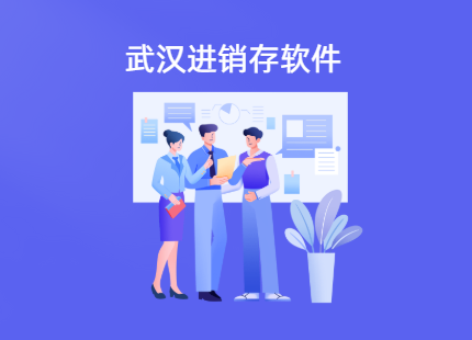 武汉进销存软件排名
