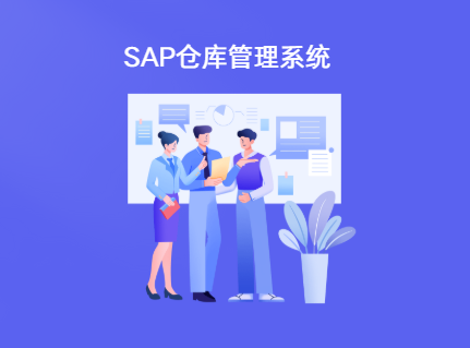 sap仓库管理系统