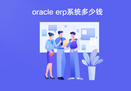 oracle erp系统多少钱