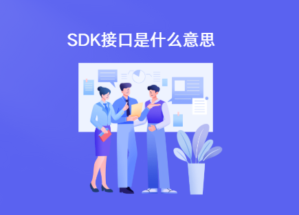 sdk接口是什么意思
