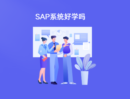 sap系统好学吗