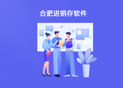 合肥进销存软件排名