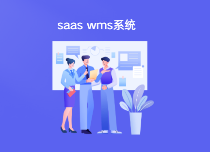 saas wms系统 