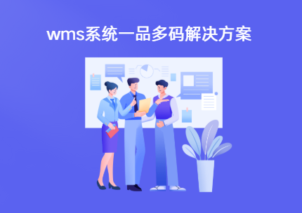 wms系统一品多码解决方案