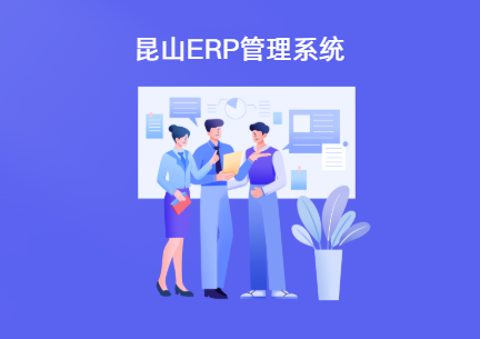 昆山ERP管理系统 