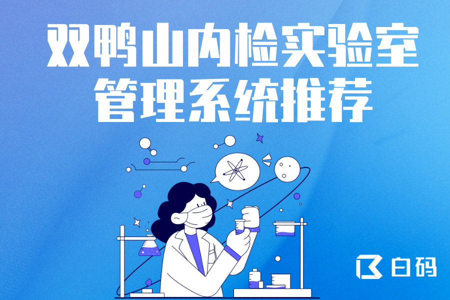 https://pan.bnocode.com/project/62dfc125b702df15e7988dba/attachment/20250429/1745918781391_09.png