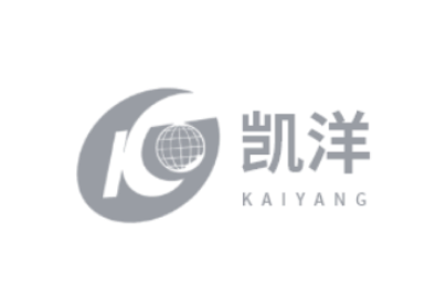 白码无代码客户群集凯洋